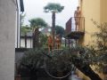 vollgas 20160502 1227644587