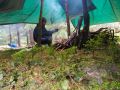 krasse bedingungen 20160603 2089277274