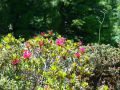 glarnerland 20160725 1724120395