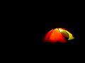 glarnerland 20160725 1727271546