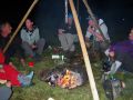 simmental 20160905 1074632415