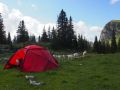 simmental 20160905 1285959302