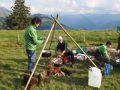 simmental 20160905 1437890422