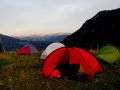 simmental 20160905 1964901739