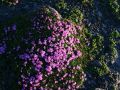 surselva 20160815 1530744637