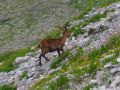 wunderbar 20160802 1512576381