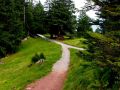 blue salamander trail und triebguetfondue 20160926 1379370282