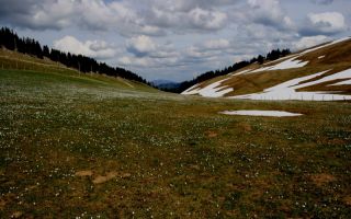 jura per pedes, april
