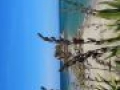 dritte phase 20170303 1075756026