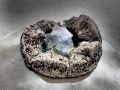 zweite phase 20170303 1402617980