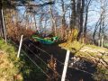 fruehlingsbiwak 20170413 1718417224