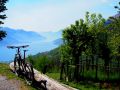 viva italia 20170427 1764660705