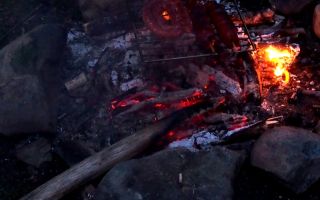 biwakieren im badener wald
