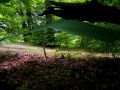 daheim 20170605 1681339594