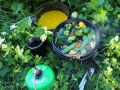 grandioses toggenburg 20170609 1439636576
