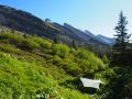 grandioses toggenburg 20170609 1669519133