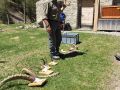 traumhaftes engadin 20170602 2008608814