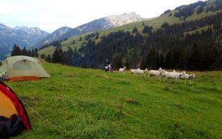 swissclassicbiwak 2017