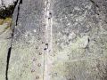 IMG 20170921 160637   Kopie