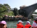 IMG 7658