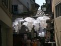 IMG 7681