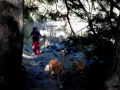 IMG 20171013 WA0002
