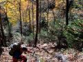 IMG 20171014 WA0003
