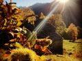 IMG 20171015 161001 639