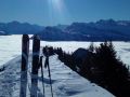 IMG 20171116 101942