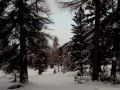 IMG 20171222 093412