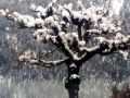 IMG 20171222 150402