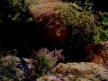 img 3438 41 20100926 1413245203