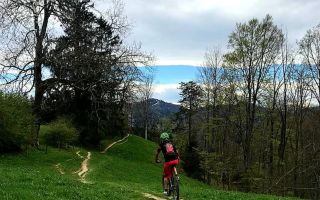 Highlights April 19