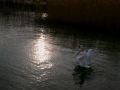 img 2044 5 20100831 1947559697