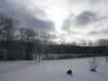 img 4001 15 20101214 1558902850