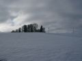 img 4003 17 20101214 1625039484