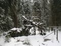 img 4007 18 20101214 1952341444