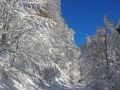 IMG 20210124 183302 754