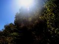 img 3532 19 20101001 1583097670