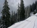 img 3779 13 20101021 1797347896