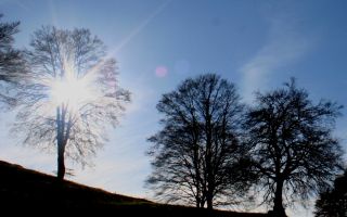 sotto ceneri im november