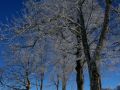 img 4085 3 20101226 1562787180
