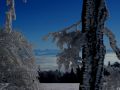 img 4097 6 20101226 1773381604