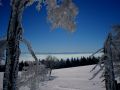 img 4098 7 20101226 1675139391