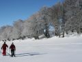 img 4105 8 20101226 1246547690