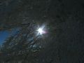 img 4115 2 20101226 1553555530