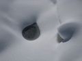 img 0032 4 20100830 1682009726