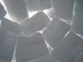 img 0083 2 20100830 1485095362