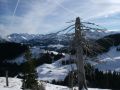 img 4155 10 20101231 1695690497