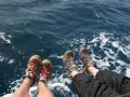 img 4839 6 20110424 1372161268